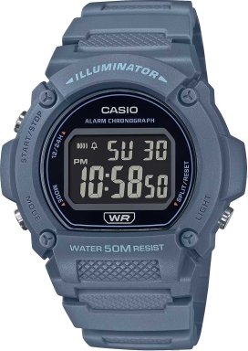 Часы Casio Collection W-219HC-2B
