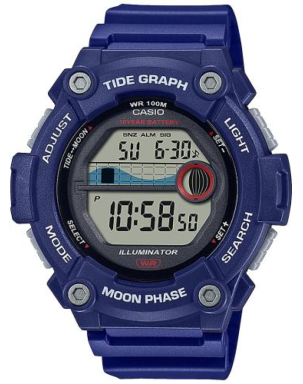 Часы Casio Collection WS-1300H-2A