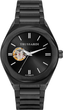 Часы Trussardi Brink R2423156001